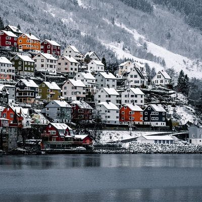 Husklynger ved fjord. 