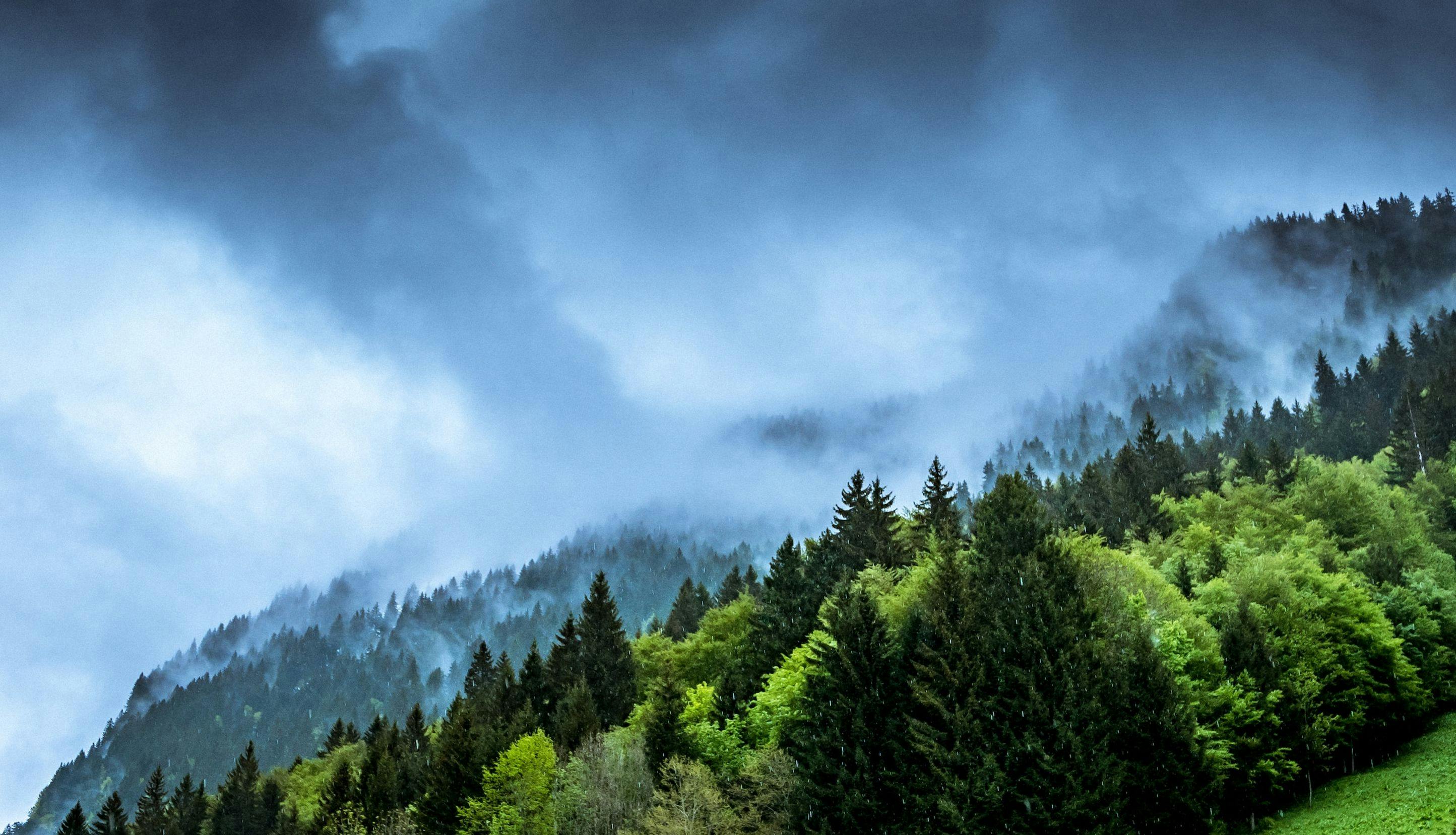Lave skyer over skoglandskap.